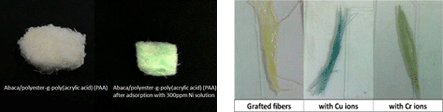 GraftPolymerization